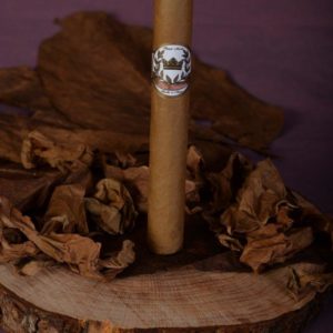Double Robusto Connecticut 54x6.5"